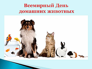 30 ноября - Всемирный день домашних животных