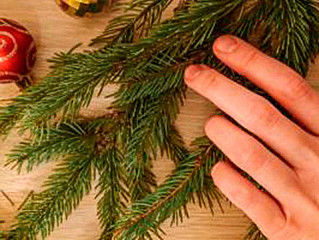  Под знаком хвои: как использовать елку после праздников