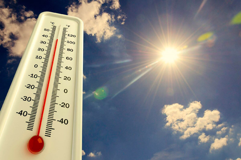 В Ростовской области установится  аномальная жара