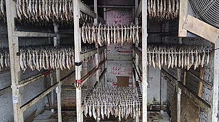 Пять тонн рыбы потянут для жительницы Дона на шесть лет лишения свободы