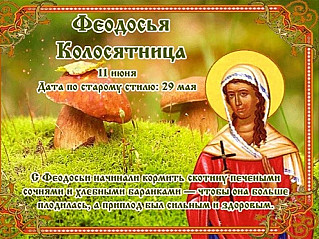 Феодосья Колосятница