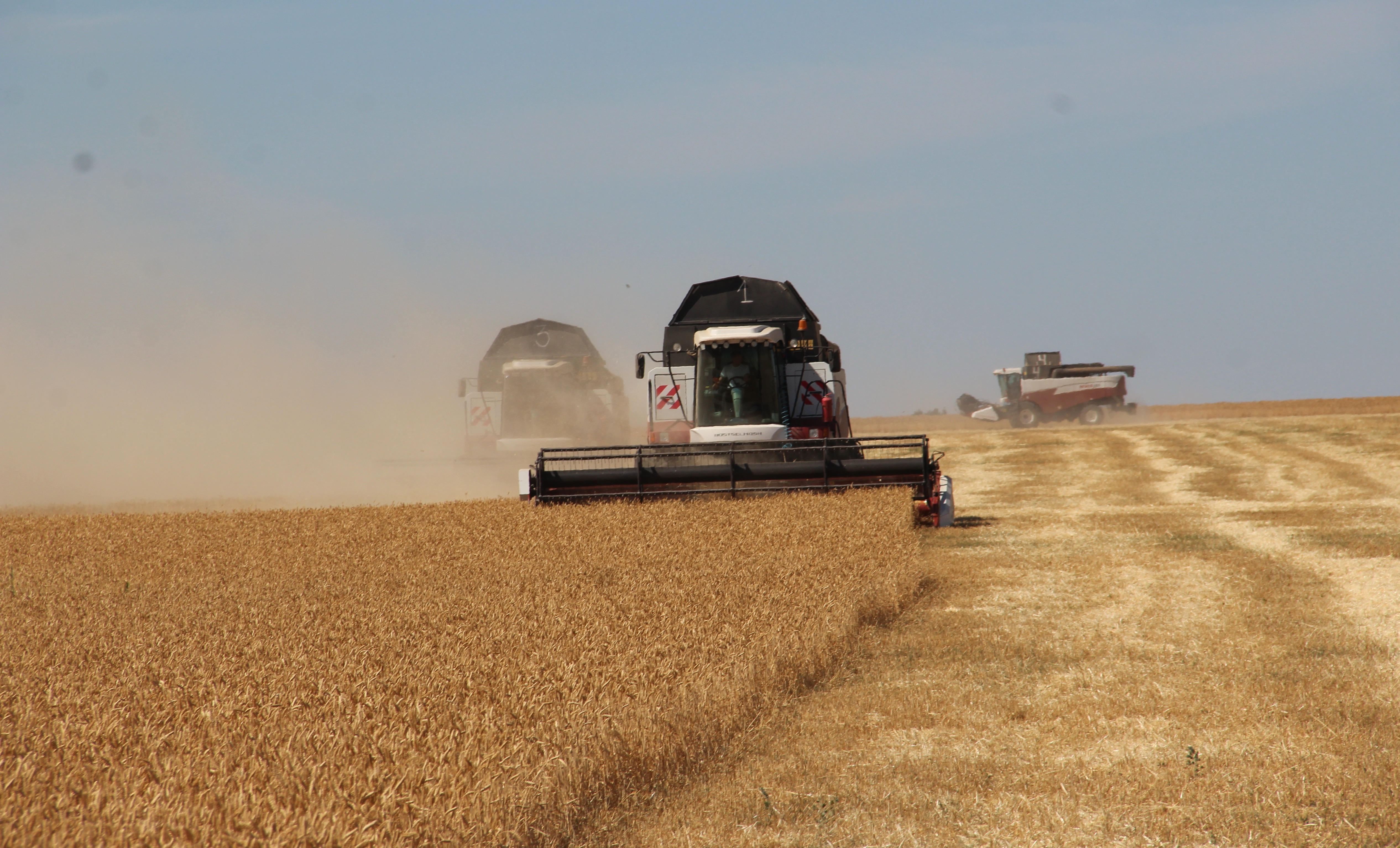 В Обливском районе завершается уборка ранних зерновых
