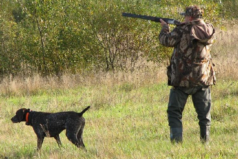 Начинающие охотники будут сдавать экзамены по правилам охоты