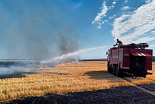 Фиксируются случаи выжигания стерни на полях 