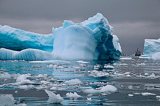 Арктические льды  могут  растаять через 20 лет