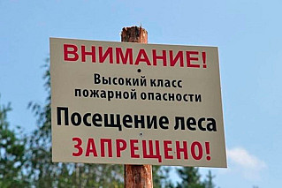 В Ростовской области ограничили пребывание граждан в лесах