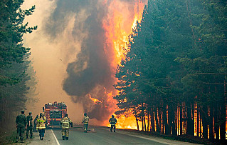 В августе в 32 регионах России высоки риски возникновения пожаров