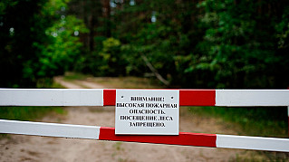 В Ростовской области ограничено пребывание граждан в лесах