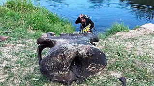Белорусские спасатели нашли в акватории реки останки мамонта