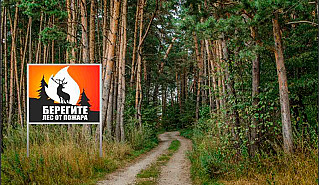 В Ростовской области официально снят запрет на пребывание в лесах