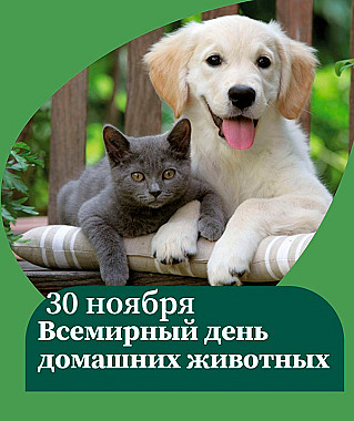 30 ноября - Всемирный день домашних животных