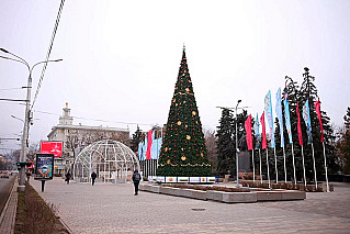 Какая погода будет в Ростовской области на Новый год