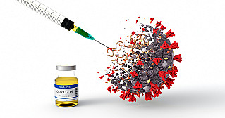 Учёные представили вакцину от COVID-19 на основе томата