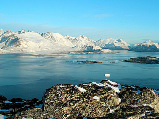Гренландия может превратиться в зеленый остров